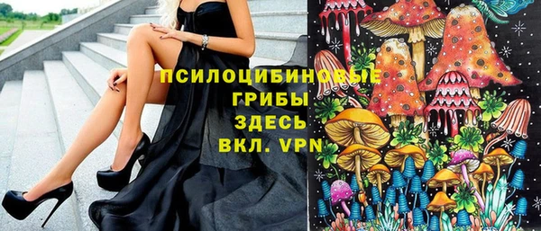 бошки Володарск