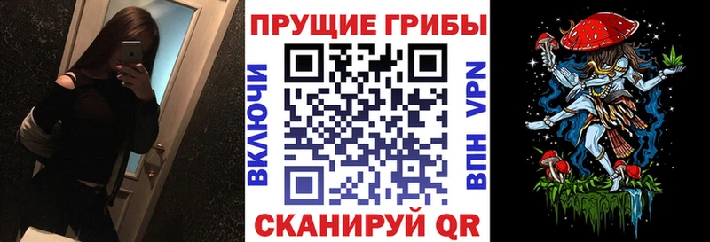 где купить   Гагарин  Псилоцибиновые грибы Cubensis 